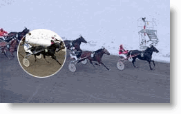 andra-par-utvandigt.gif