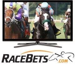 Livestreaming hos RaceBets