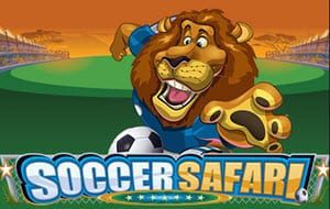 Soccer Safari