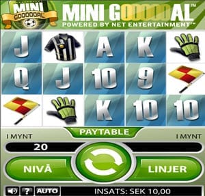 mini goal