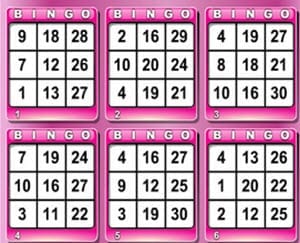 30 bollars bingo