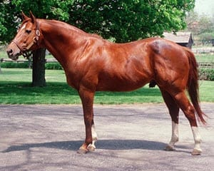 Secretariat
