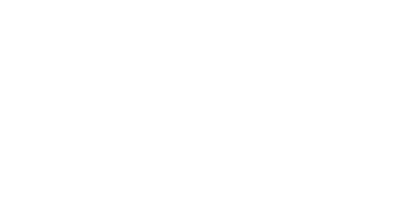 DJ wild logo