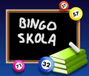 Bingoskola