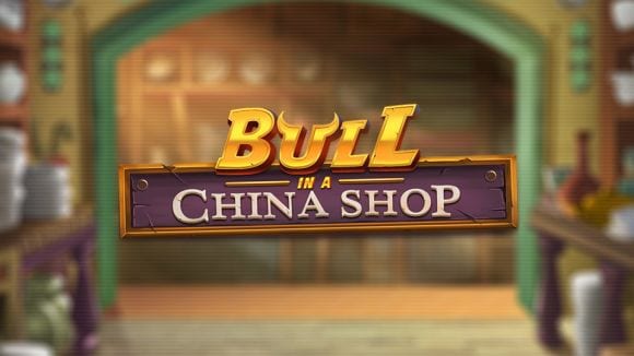 bull in a china shop logotyp