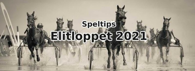 speltips odds online elitloppet 2021