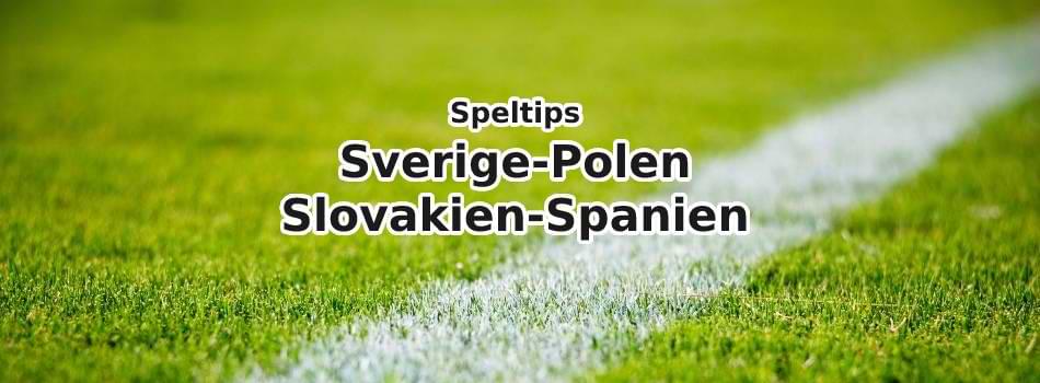 speltips sverige-polen